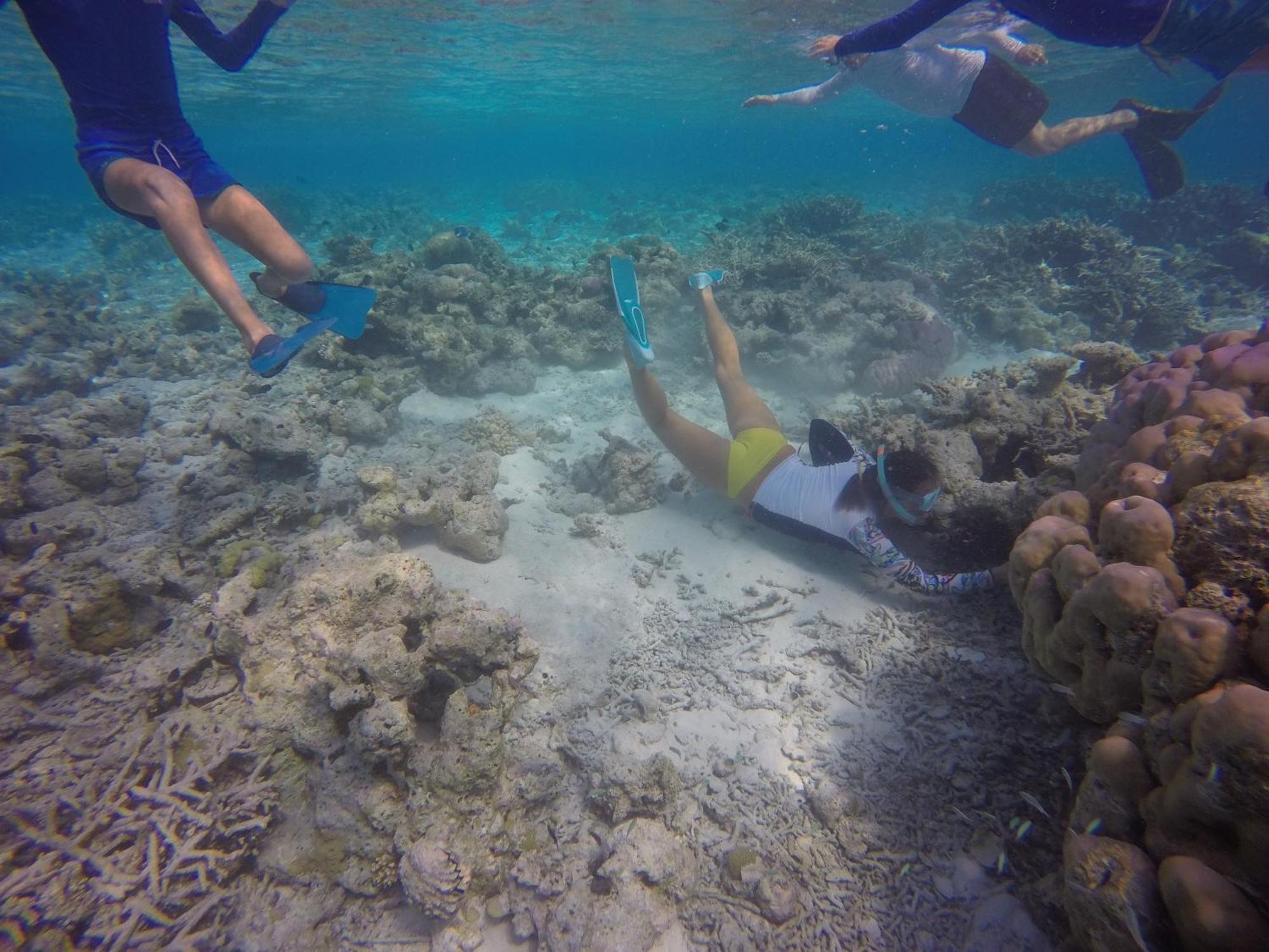 גוראידהו Kaafu Inn Guraidhoo מראה חיצוני תמונה