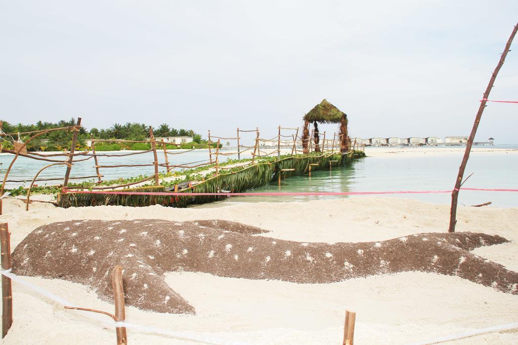 גוראידהו Kaafu Inn Guraidhoo מראה חיצוני תמונה