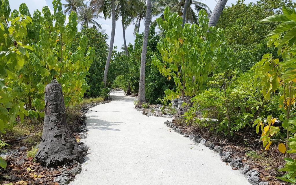 גוראידהו Kaafu Inn Guraidhoo מראה חיצוני תמונה